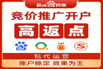 SEM服务案例：打造行业领先品牌